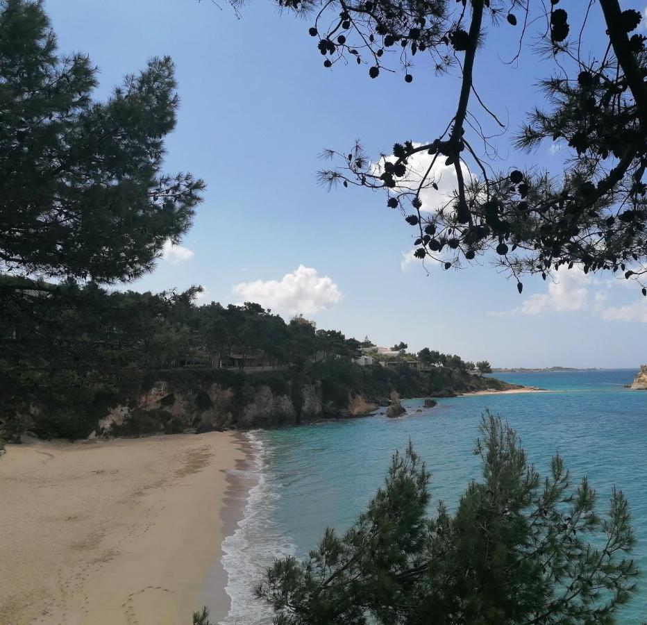 Argostoli Loftアパートホテル エクステリア 写真